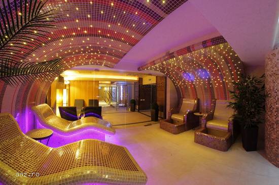 Maramures-Craciun,  Revelion: Hotel Gabriela 3* !
