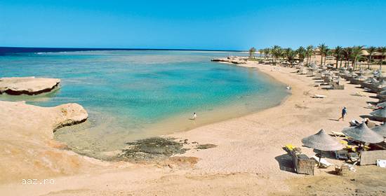 Sarbatoreste Craciunul in Marsa Alam !