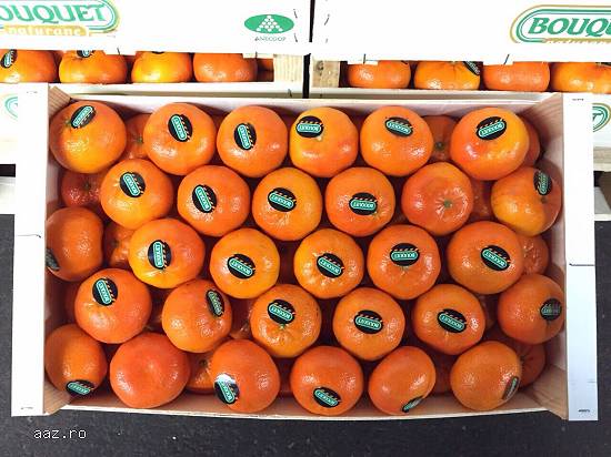 Portocale și clementine