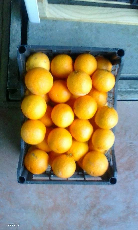 Portocale și clementine
