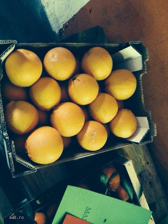 Portocale și clementine