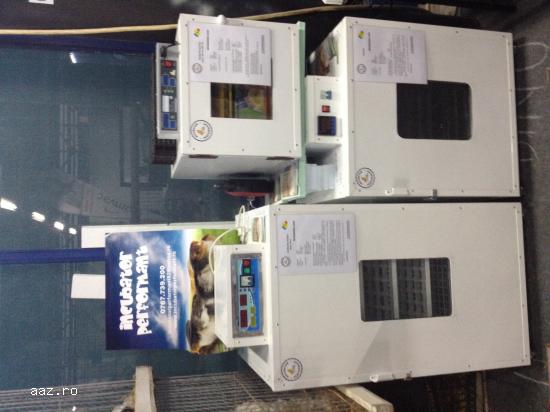 incubator oua prepelita