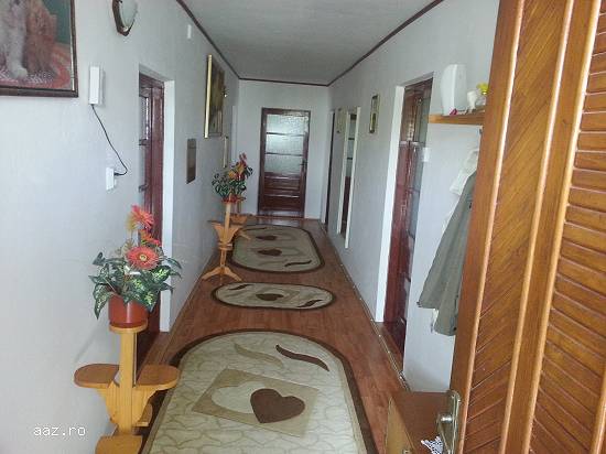 Vand casa in Cataloi