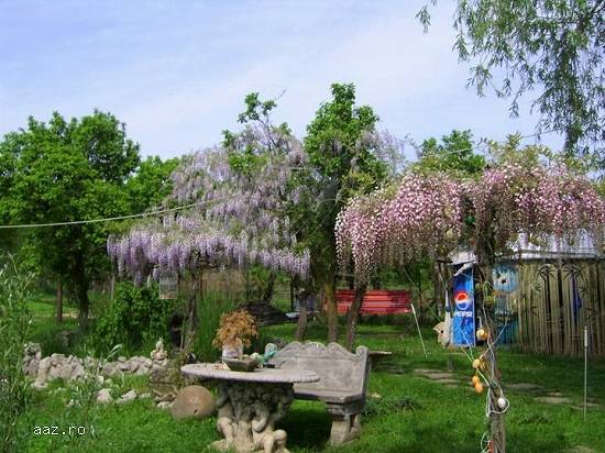 Proprietate de vanzare