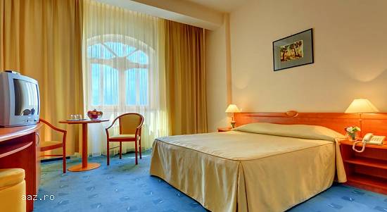 Ana Airport Hotel 3* Revelion| Sibiu