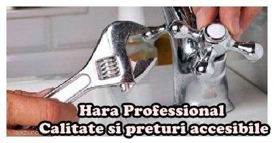 Instalatii sanitare Arges