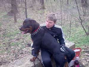 monta rottwailer