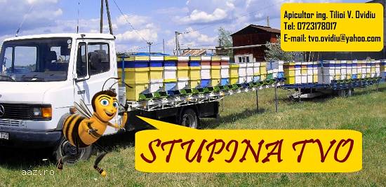 NOU! Magazin Online *****