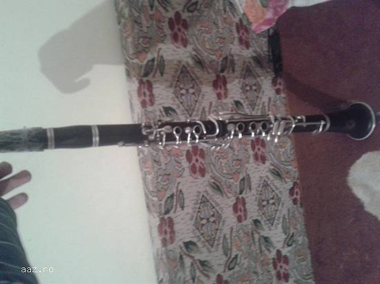 vand clarinet parrot