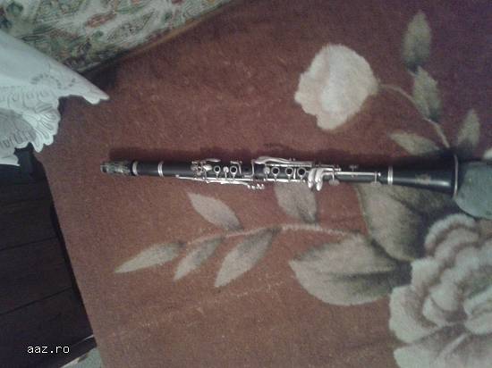 vand clarinet parrot