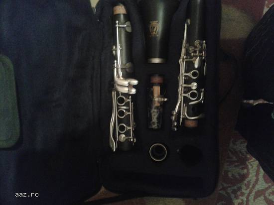 vand clarinet parrot