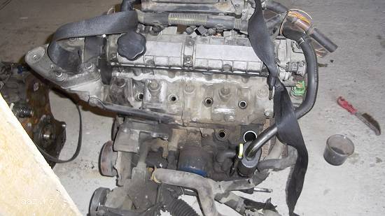 Motor fara anexe Laguna 1