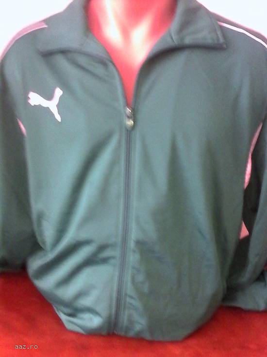 Trening Puma