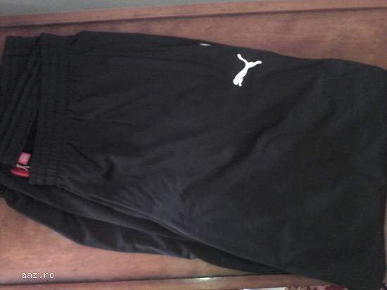 Trening Puma