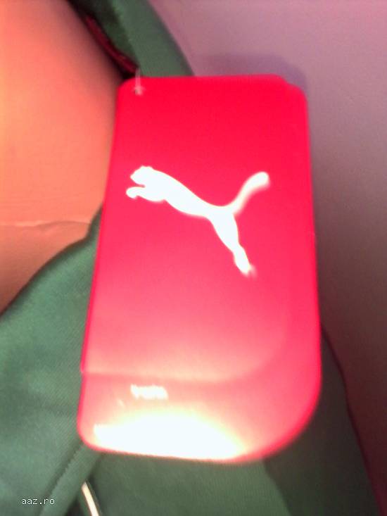 Trening Puma