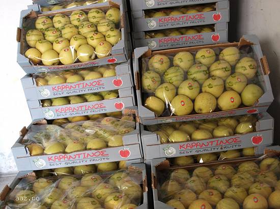 Fructe proaspete Grecia