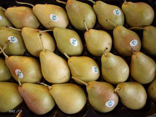 Fructe proaspete Grecia