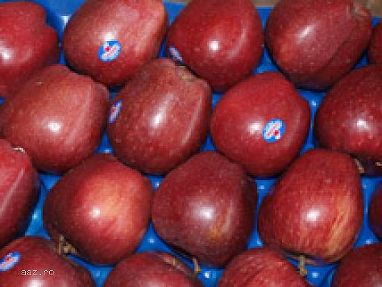 Fructe proaspete Grecia