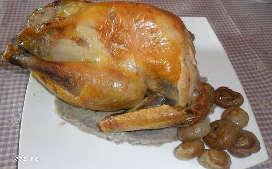 VINDEM CARNE SI OUA DE BIBILICA,  GAINA SI PREPELITA