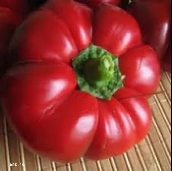 ARDEI BUCUR 100g