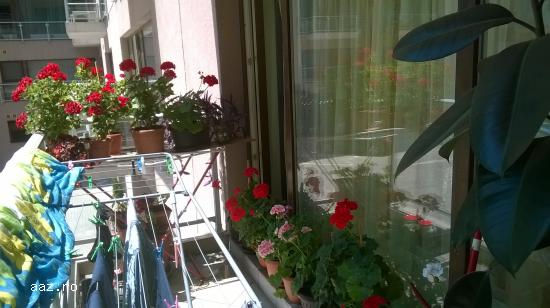 vanzare ap 3 camere