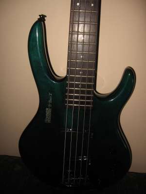 Hohner Professional B Bass V