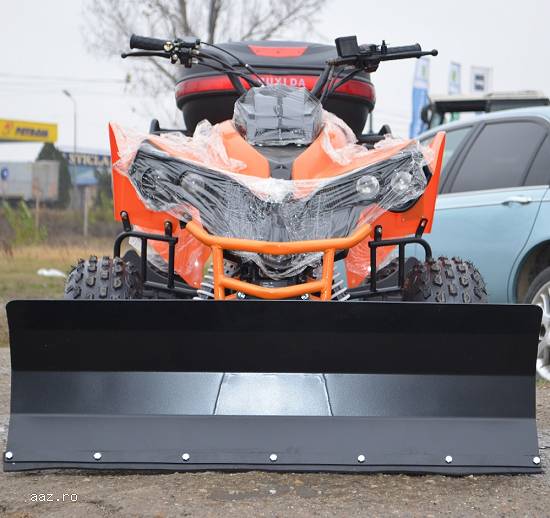 ATV RENEGADE 125CC LIVRAM  ORIUNDE IN ROMANIA