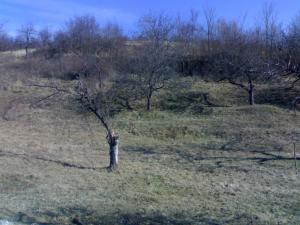 vand teren in vladesti valcea