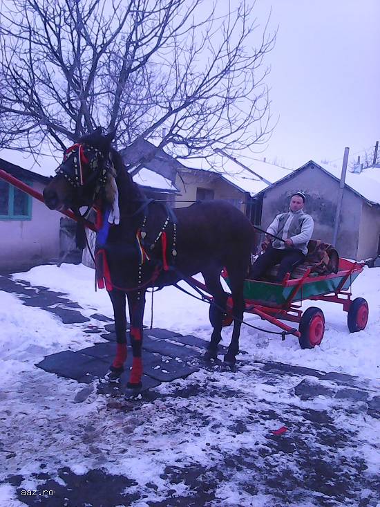 Vand iapa trapasa
