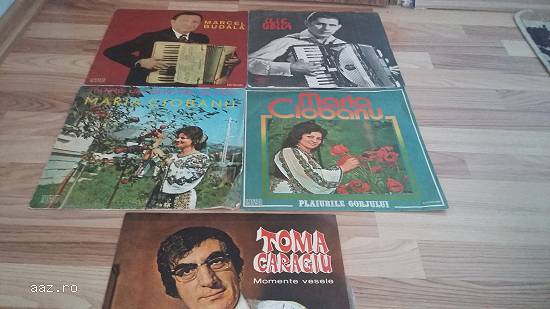 Vand discuri vinil si tablou
