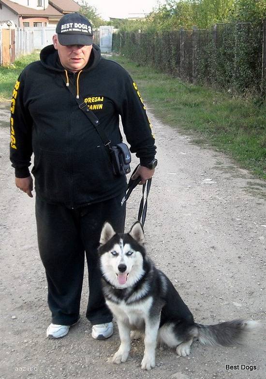 DRESAJ CANIN !!!REZULTTE GARANTATE!!!PLATA IN RATE!