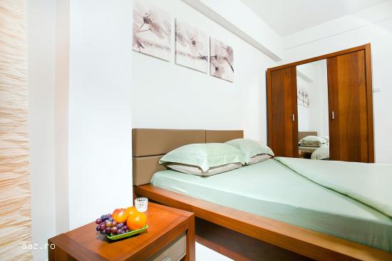 Apartament in regim hotelier cu 3 camere in Piata Amzei/Central