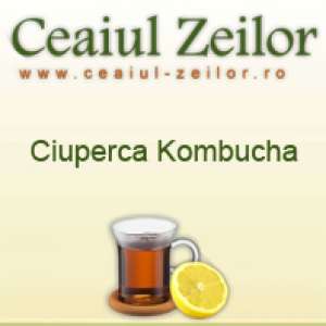 Vand ceai/ciuperca Kombucha