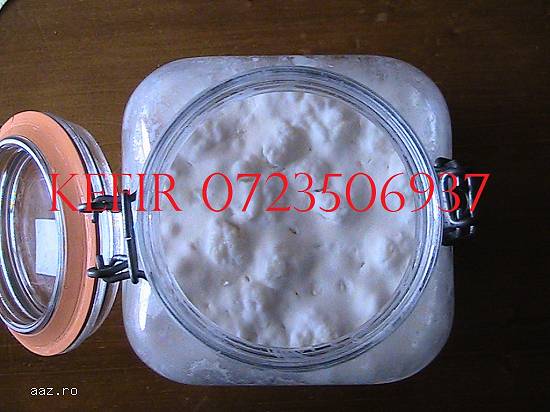 Kefir de lapte 0721339995 Ciuperca Tibetana chefir bio poatia 1 litru 100 lei