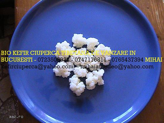 Kefir de lapte 0721339995 Ciuperca Tibetana chefir bio poatia 1 litru 100 lei
