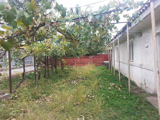 Vand 2 case+3000m² gradina la 25km de Bucuresti