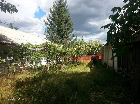 Vand 2 case+3000m² gradina la 25km de Bucuresti