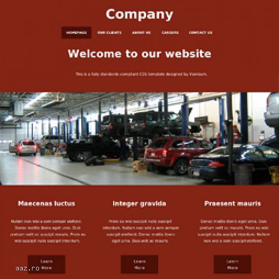 Site-uri PROFESIONALE de la 4.90 euro/luna