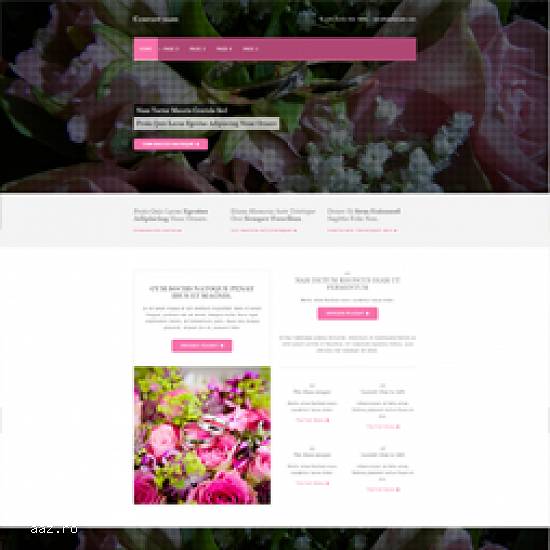 Site-uri PROFESIONALE de la 4.90 euro/luna