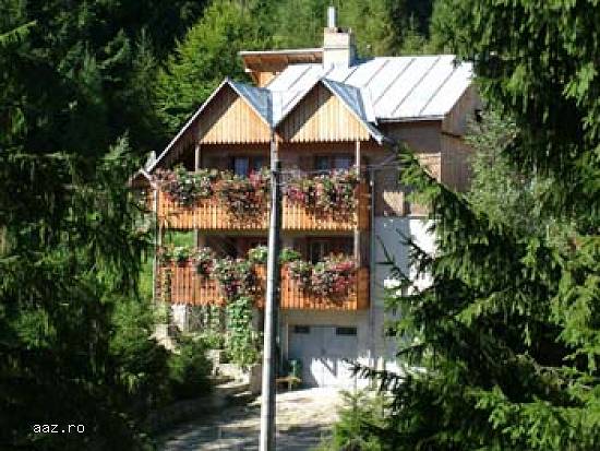 VORONET ,  BUCOVINA ,  VILA DOINA