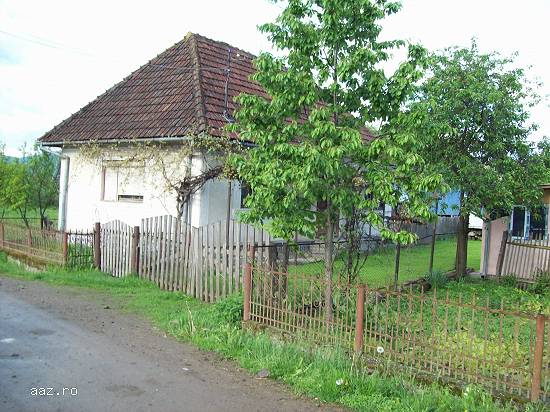 casa cu gradina si anexe