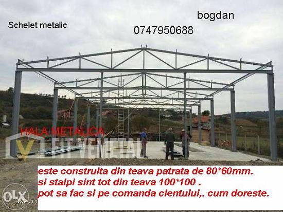 vand o structura metalica doar scheletul