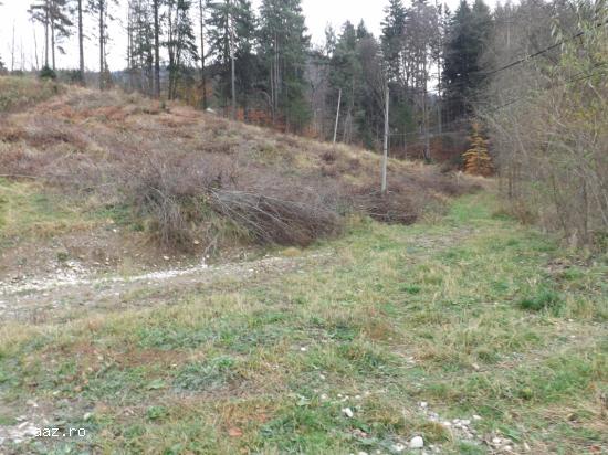 Particular,   vand teren construibil in Sinaia