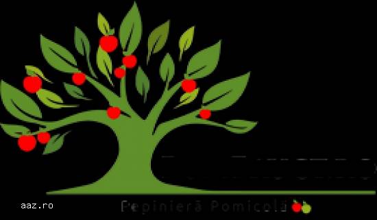 Pomi fructiferi certificati - Pepiniera Pom Fruct Aiud