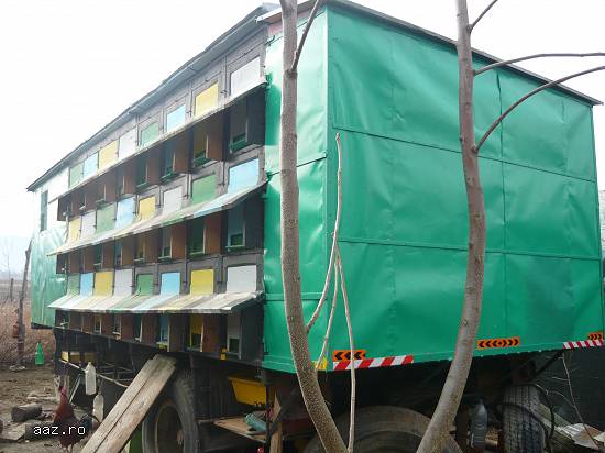 Pavilion apicol 48 pozitii populat cu 21 familii de albine