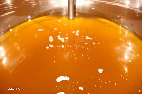 Complexe la cheie pentru presare si filtrare a uleiului vegetal. Calitate germana garantata