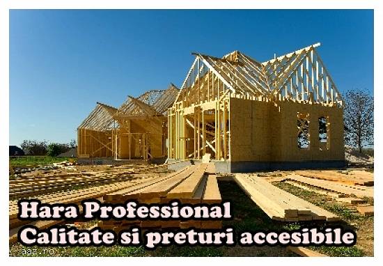 Case cu structura din lemn Brasov