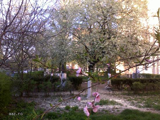 Proprietar,  inchiriez ap 2 camere,  spatios,  Giurgiului