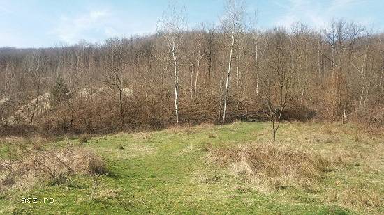 Vanzare teren - zona superba