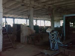 BEIUS-ORADEA 7Ha +Hale industriale